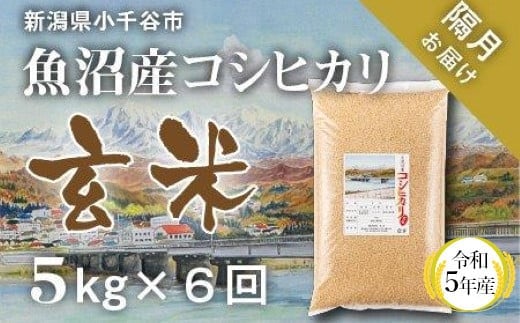 
										
										KT55P103 〔定期便 隔月〕〔玄米 選別品〕令和5年産 魚沼産コシヒカリ玄米定期便 5kg×6回【隔月お届け】（米太）
									