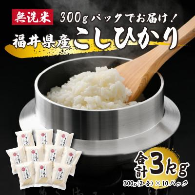 ふるさと納税 小浜市 【福井県産】無洗米こしひかり2合(約300g)×10パック(精米)　計3kg