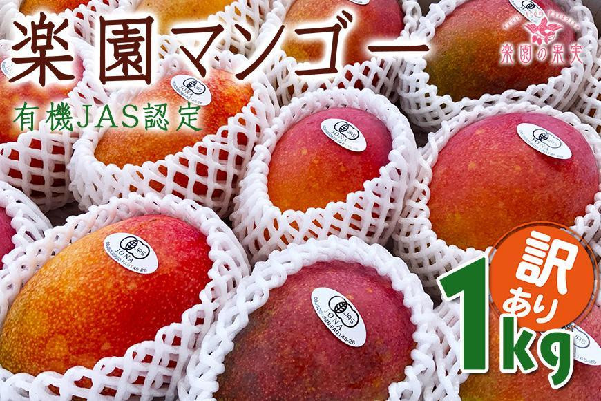 
            DQ020《先行予約》2026年発送【楽園の果実】有機JAS認証マンゴー（アーウィン）わけあり1キロ
          
