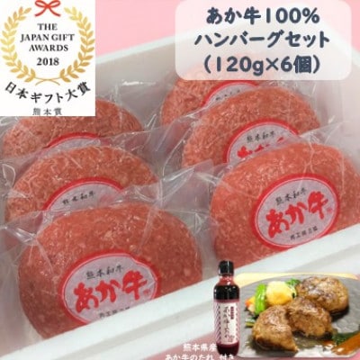 あか牛100%ハンバーグセット(あか牛ハンバーグ120g×6個 あか牛のたれ200ml)(水上村)【配送不可地域：離島】【1443350】