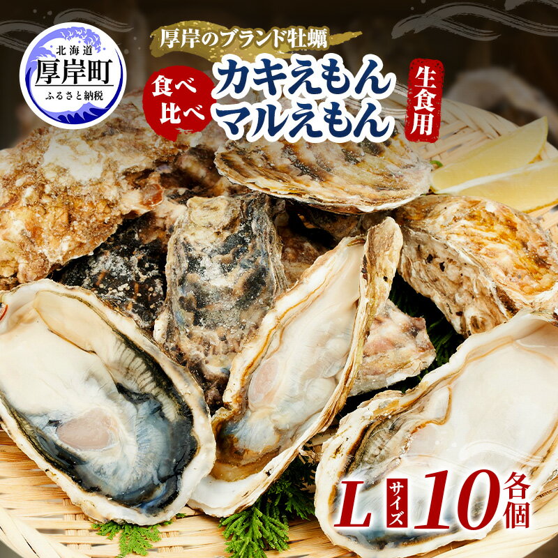 【ふるさと納税】牡蠣 厚岸のブランド牡蠣 食べ比べ 生食用 カキえもん マルえもん Lサイズ 各10個 [ 魚貝類 海鮮 海のミルク 国産 生食用殻付き牡蠣 まろやか クリーミー 食べやすい品種 海の香り 牡蠣の酒蒸し 焼き牡蠣 ]　お届け：2026年11月～12月20日まで