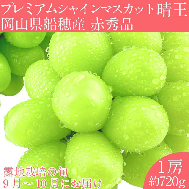 【ふるさと納税】【2025年 予約受付中】 プレミアム シャインマスカット 晴王 1房約720g/ 岡山県 船穂産 赤秀品 種無し 皮ごと食べる みずみずしい 9月10月にお届け フレッシュ 晴れの国 おかやま 果物大国 彩美菜果 岡山県 瀬戸内市 お届け：2025年9月中旬〜2025年10月下旬