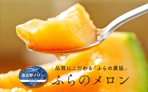 【2026年発送】【秀品】富良野メロン　2玉（約1.6kg×2玉）