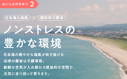 まる姫ポーク スペアリブ（ブロック）約700g×2パック(約1.4kg)