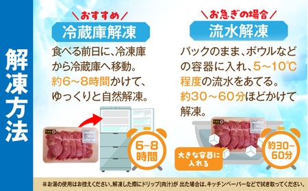 牛肉 スライス 牛肉[宮崎牛 ヒレ 300g]