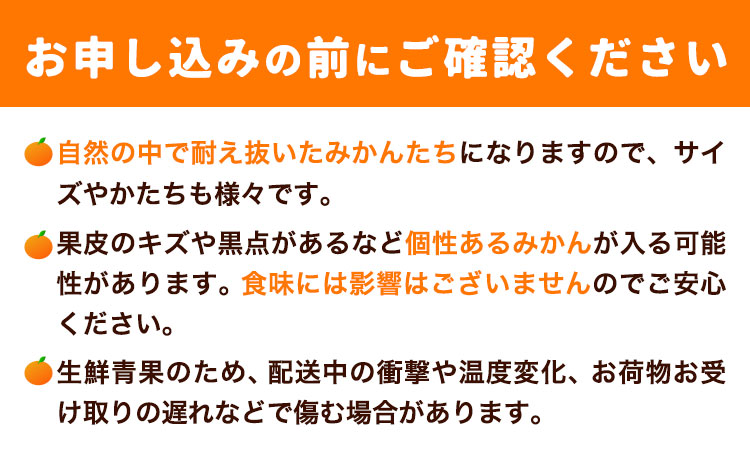 【先行予約】早生 みかん 約 5kg (2S～Lサイズ) どの坂果樹園《12月上旬-1月末頃出荷予定》 和歌山県 日高町 みかん 早生 旬 柑橘 フルーツ 果物 蜜柑 ミカン 2026年出荷出荷