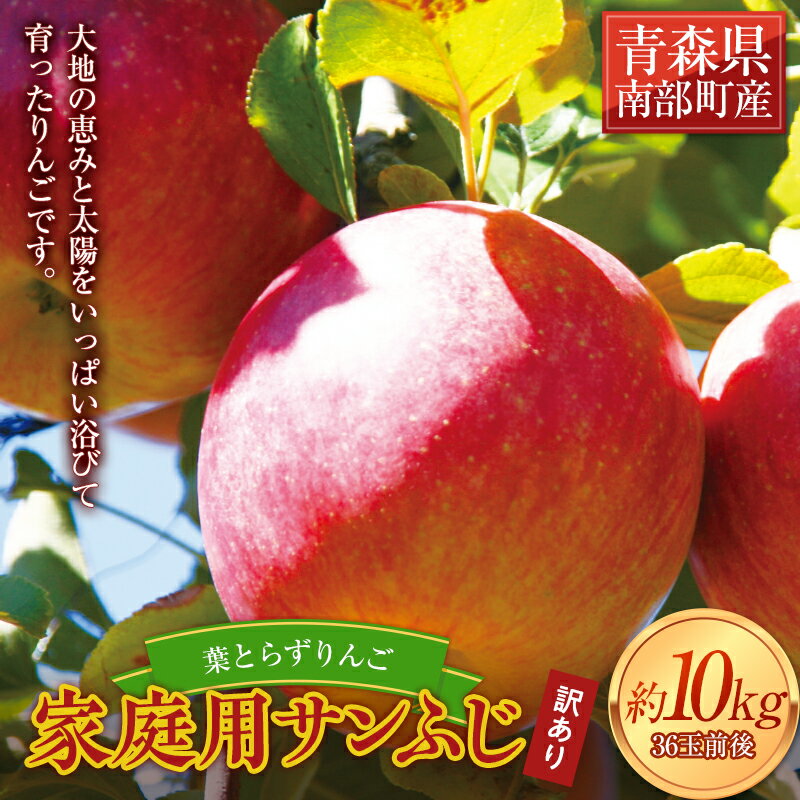 【ふるさと納税】《家庭用》 葉とらずりんご サンふじ 約10kg 【四戸農園】 減農薬 有機肥料 青森りんご リンゴ 林檎 アップル あおもり 青森 青森県 南部町 果物 くだもの フルーツ 訳あり 訳アリ わけあり 規格外 F21U-505