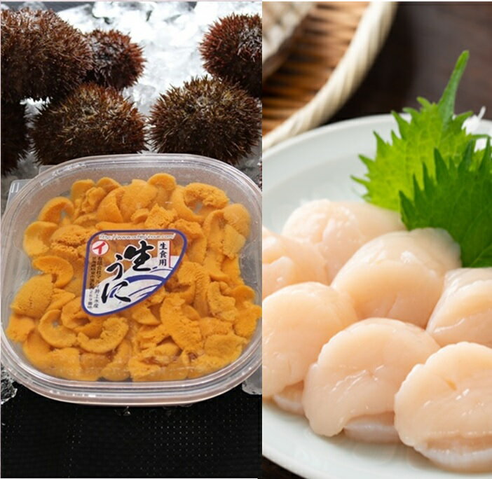 【ふるさと納税】エゾバフンウニ塩水パック150g×1P、お刺身ホタテ貝柱500g×1P[2026年1月中旬以降発送] D-71039