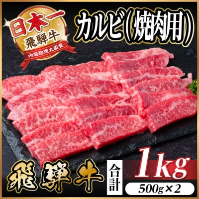 飛騨牛 厳選カルビ(焼肉・BBQ用) 1kg(500g×2) 小分け 黒毛和牛 A4～A5等級【配送不可地域：離島】