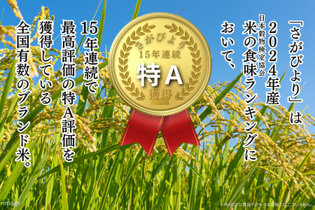 新米 令和7年 佐賀県産「さがびより」10kg（5kg×2袋）：B240-027