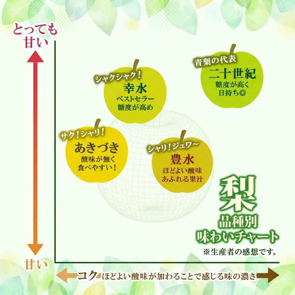 梨 豊水 約5kg 大玉 フルーツ 果物 福島 梨 なし