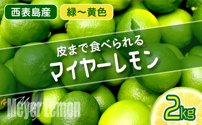 【2025年発送】まろやか多汁マイヤーレモン （島レモン）約2kg