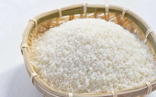 【定期便】【令和７年産】南魚沼産 コシヒカリチャック付き（白米2kg×全6回）