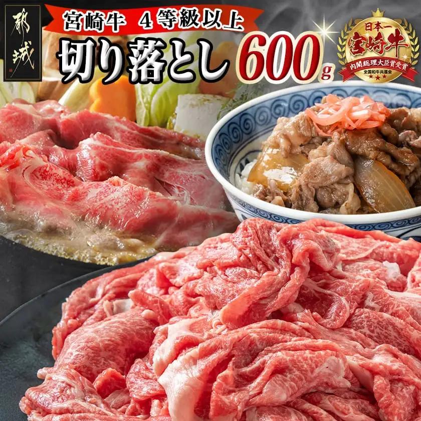 宮崎牛切り落とし600g〔AA-89-006-600g〕_(都城市) 国産黒毛和牛 ブランド牛 牛肉 宮崎牛切落とし肉 300g×2パック 計600グラム 牛丼や炒め物などに 万能 冷凍 国産 九州産 宮崎県産 都城産