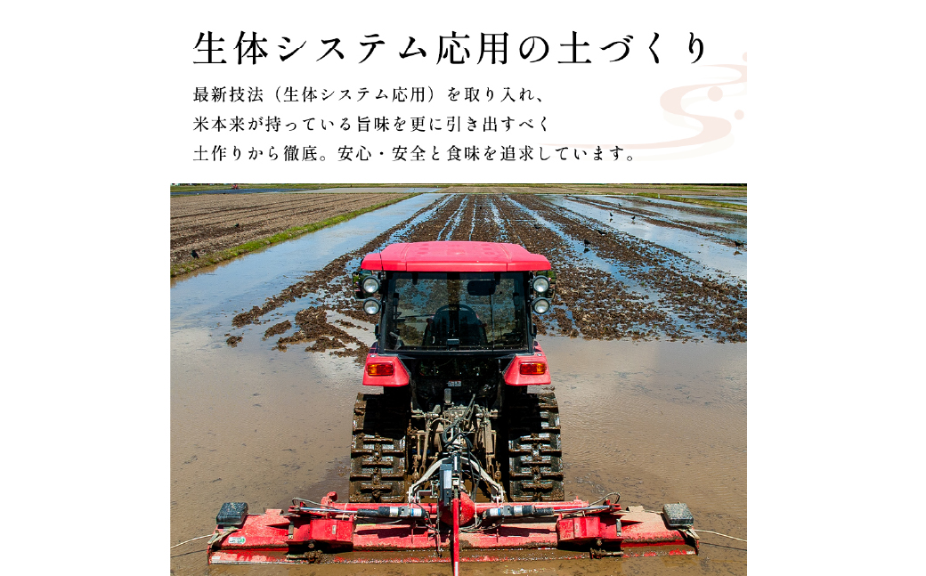 【新米受付・令和8年産米】自然豊かな風土が育んだ新潟県村上市岩船産コシヒカリ15kg（5kg×3袋）NC4023