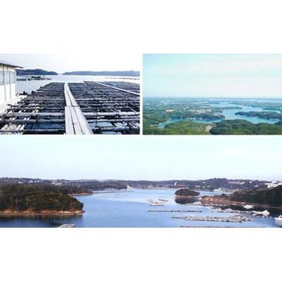 ふるさと納税 志摩市 真珠屋さんのアコヤ本真珠 ホワイトピンク 6.0〜6.5ミリ高品質K18ピアス |  | 03