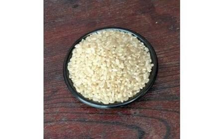 令和7年産 白米  5kg　ykj01