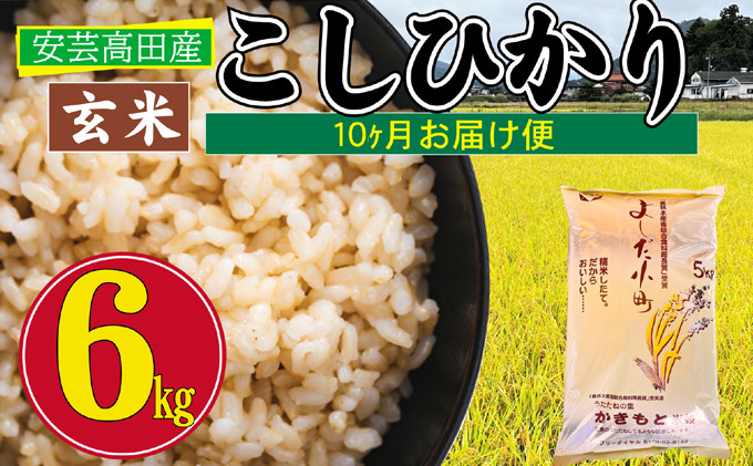 
[№5895-0258]米 【10ヶ月お届け】令和5年産　安芸高田市産コシヒカリ『玄米』6kg
