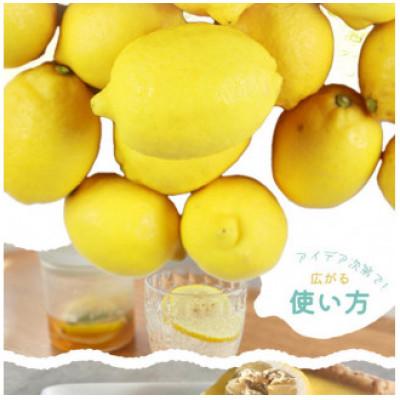 ふるさと納税 北山村 【ご家庭用訳あり】紀州有田産レモン　2.5kg※2027年3月上旬〜下旬頃に順次発送【uot777】 |  | 03