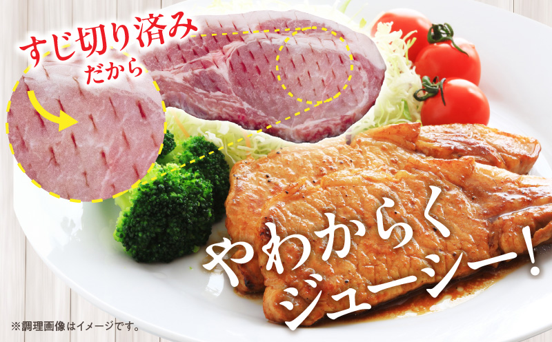 宮崎県産 豚ロース (トンテキ・とんかつ用) 計1kg 肉 豚肉 ポーク 国産 食品 万能食材 真空パック 簡単調理 おかず お弁当 おつまみ 豚丼 焼肉 炒め物 カレー ステーキ おすすめ ご褒美 