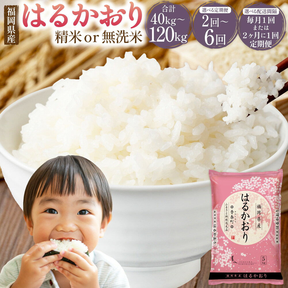 【ふるさと納税】＜選べる種類・回数＞ はるかおり 精米 / 無洗米 1回あたり計20kg（5kg×4袋） 1ヶ月毎 2ヶ月毎 2回 3回 4回 5回 6回 お米 米 こめ コメ 白米 ブレンド米 ご飯 ごはん ライス 福岡県産 国産 福岡県 香春町 送料無料