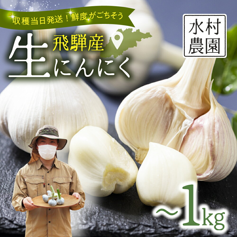 【ふるさと納税】《先行予約》限定 選べる内容量 飛騨産 生にんにく 300g 500g 1kg 生ニンニク にんにく【6月中旬〜下旬発送】水村農園