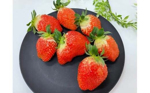（大粒）農林水産大臣賞受賞農園からお届けする　訳アリ　かおり野　1kg（250ｇ×4Ｐ）/いちご　ISH-01