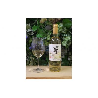 ふるさと納税 春日井市 春日井ワイナリ-春の風 (寧)デラウェア 白ワイン 750ml　ワイン　白　ギフト　贈り物 |  | 02