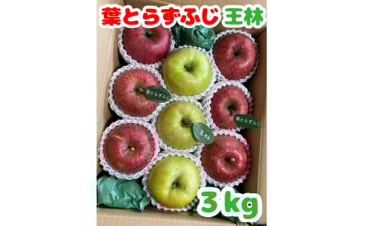 先行受付＜青森市産・完熟葉とらずふじ&王林＞約3kg(家庭用)【1613751】