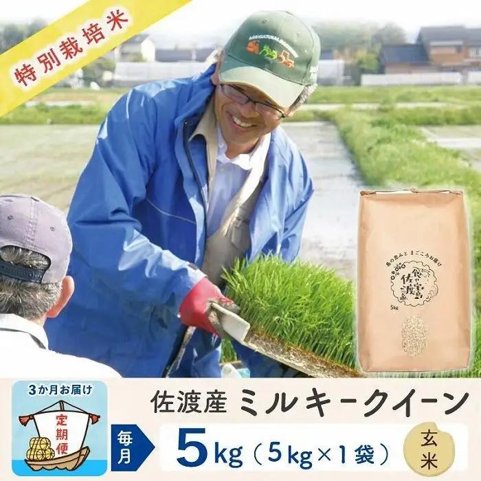 【定期便 新米 5kg 3回】 玄米 令和8年 計 15キロ | 新潟県 佐渡市 ミルキークイーン 195962-4243