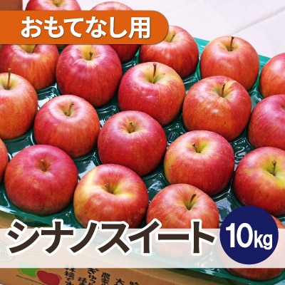 【25年12月出荷予定】平均糖度13度以上! シナノスイート 約10kg おもてなし用【配送不可地域：離島・沖縄県】