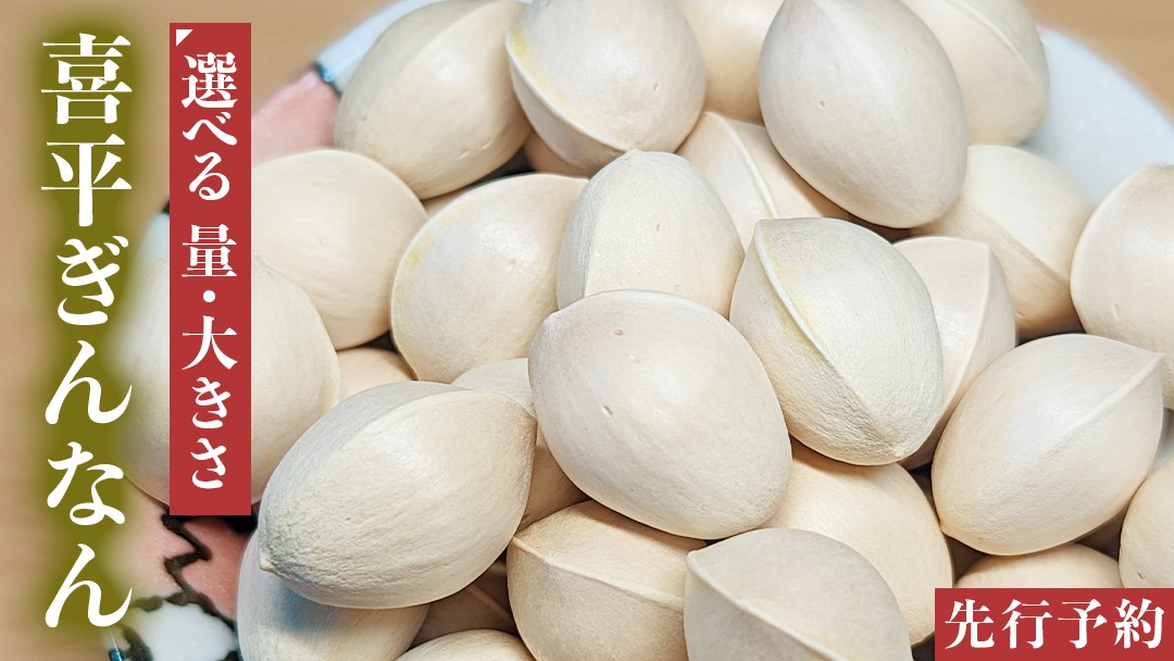 
                  【先行予約】＼ 量や大きさが選べる！／ 喜平 ぎんなん 150g 500g 1kg 特大 大【2026年10月中旬より発送開始】 イチョウ 秋 美味 栄養満点 健康 高血圧予防 むくみ改善 疲労回復 美肌
                