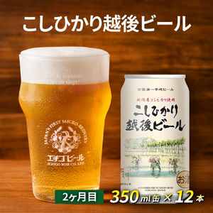 【定期便3ヶ月】エチゴビール【1ヶ月目】のんびりふんわり白ビール350ml缶×12本【2ヶ月目】こしひかり越後ビール350ml缶×12本【3ヶ月目】ピルスナー350ml缶×12本 ビール クラフトビー