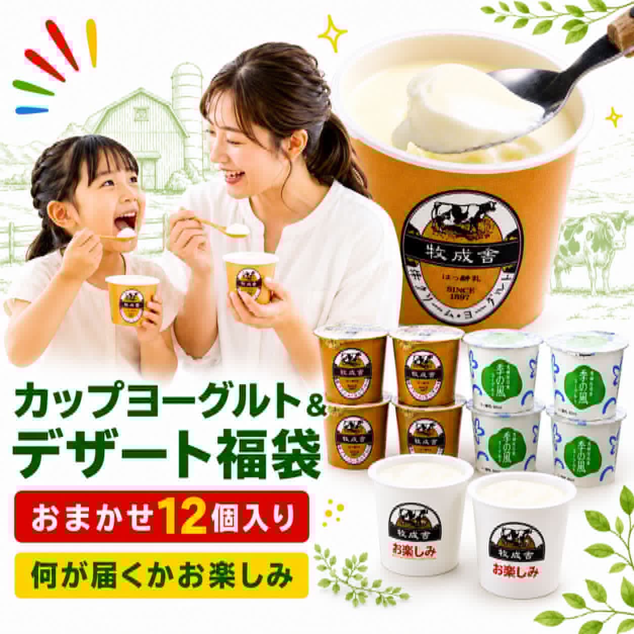 【ふるさと納税】＜牧成舎＞ 訳あり ヨーグルト 福袋 ｜ 短賞味期限 個食タイプ セット 食品ロス 福袋 食品 ヨーグルト プリン ミルク お試し 岐阜県 訳アリ 乳製品 詰め合わせ ワケアリ ギフト スイーツ デザート 12個