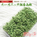 【ふるさと納税】 【2025年初夏発送】 有機 JAS 認定 朝倉山椒 300g （150g×2） ： 先行予約 数量限定 京都 舞鶴 山椒 実山椒 生 生鮮 新鮮 採れたて 農家直送 産地直送 佃煮 ちりめん山椒 オーガニック 有機栽培 山椒の実 スパイス 香辛料