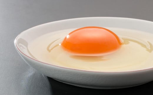 【全3回定期便】 長崎カステラ 琴海の心 0.5号(5切)×3本