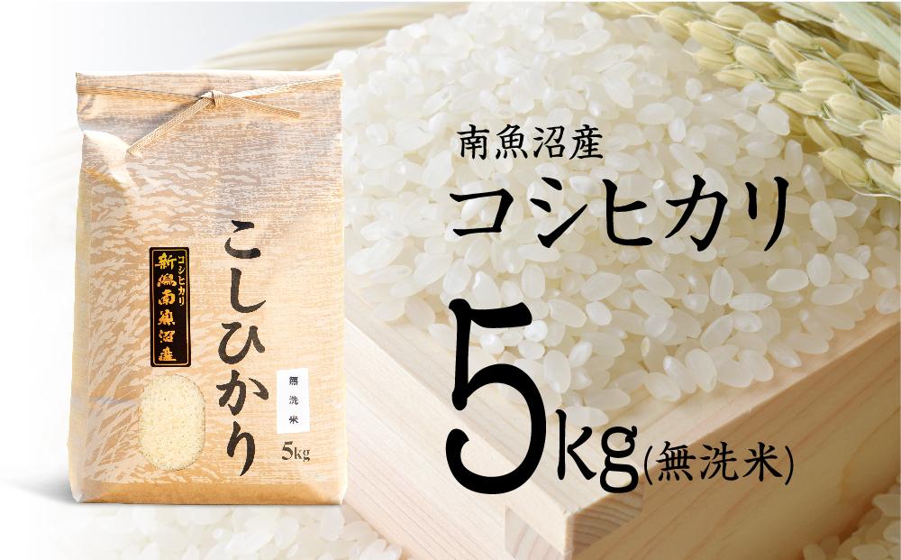 【令和6年産 新米予約】南魚沼産コシヒカリ（無洗米）【5kg】【令和6年9月中旬より順次発送予定】【米 お米 こしひかり 南魚沼 米 白米 こめ 新潟 米 5キロ 】