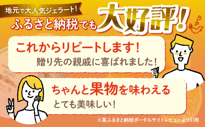 ジェラート 12個
