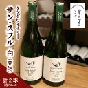 【ふるさと納税】【タケダワイナリー】サン・スフル ( 白 ) 2本 セット 発泡 750ml×2本 白ワイン 山形県 上山市 0147-2209