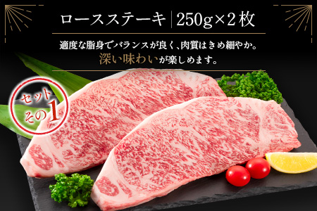 ≪肉質等級A4ランク≫宮崎牛 ロース食べ比べセット（合計1kg） ※90日程度でお届け【E161-24】