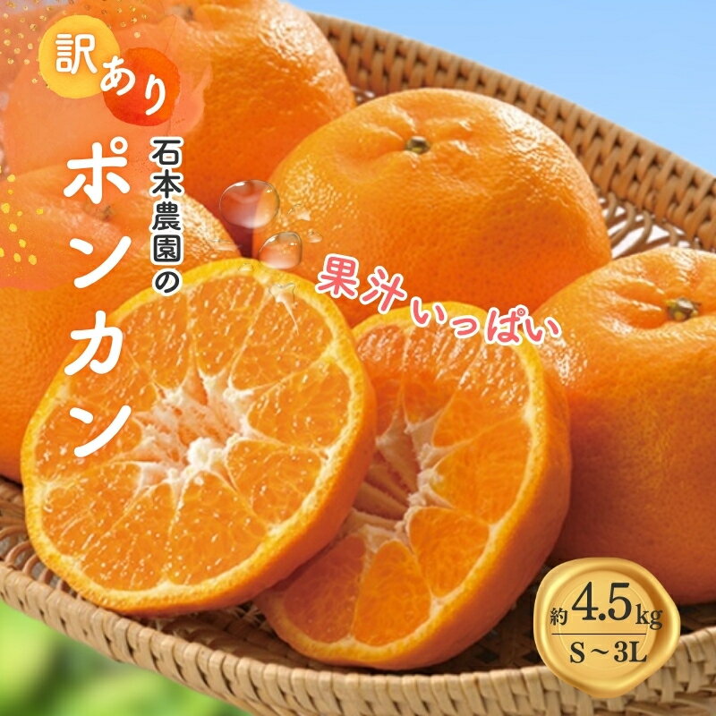 【ふるさと納税】 訳あり S-3L サイズおまかせ 石本農園のポンカン 4.5kg 【2026年1月中旬から2月中旬頃までに順次発送】 / みかん ミカン 蜜柑 ぽんかん