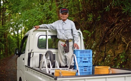 結（ゆい）果樹園の河内晩柑9kg（家庭用）