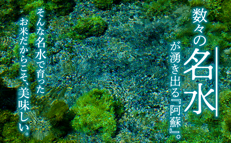 【予約】新米 令和7年産 コシヒカリ 5kg（白米）ファーム中村  お米  人気 美味しい 弾力 粘り 食感 熊本県 阿蘇市