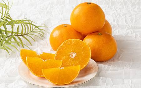 柑橘の鬼たちがつくる八幡浜産・鬼 マドンナ (2.7kg～3.0kg)[ 傷あり ]【E56-33】【配送不可地域：離島・北海道・沖縄県】【1360891】