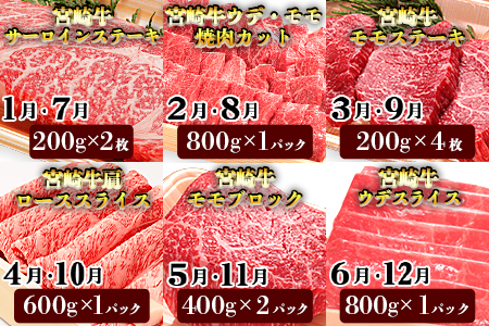 ★12か月定期便★＜宮崎牛づくしセット＞翌月末迄に第１回目発送【 定期便 肉 牛 牛肉 和牛 黒毛和牛 -】