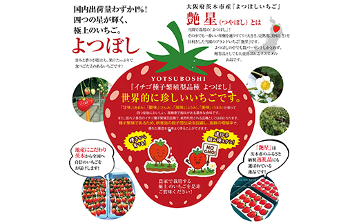 艶星(イチゴ)約350g〜約400g「甘味、酸味、風味、旨味」四つ星級に美味!採れたてをお届けします【配送不可地域：離島】【1651679】