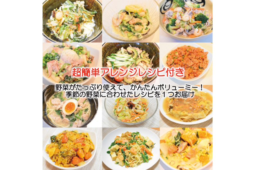 長崎ちゃんぽん (特製スープ&アレンジレシピ付) 10人前 生麺 本場の味 [吉岡青果 長崎県 雲仙市 item1295]