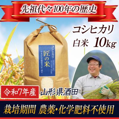 ふるさと納税 酒田市 【栽培期間中農薬不使用】コシヒカリ 精米10kg 大粒LLサイズ以上厳選 令和7年産