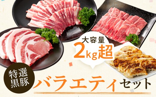 
B02076 特選黒豚バラエティセット(約2.1kg)黒豚バラ(焼肉用)、黒豚ロース(トンカツ用)、黒豚モモスライス、黒豚餃子のセット【和田養豚】
