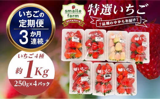 
                  【2027年先行予約】＜いちごの定期便＞スマイルファーム 特選いちご 約1kg 3か月連続 FAF-0051
                